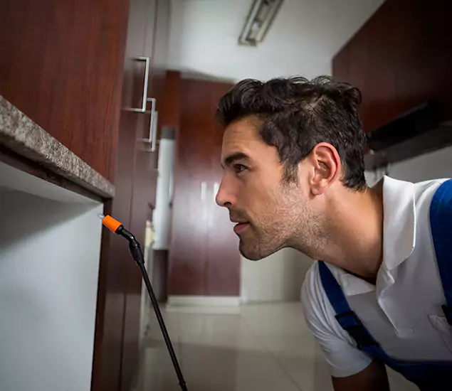 Termite Inspection Cost Experts You Can Trust in Fairfax Station, VA