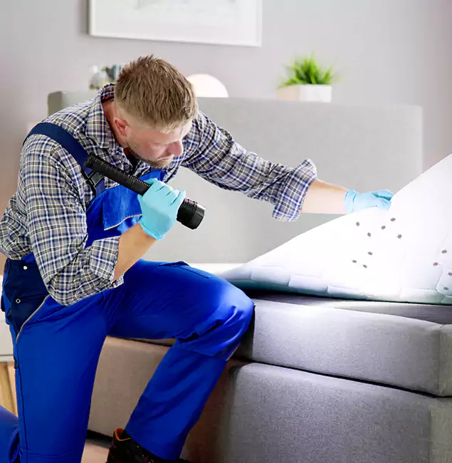 Why Choose Fairfax Station Pest Control Pro For Bed Bug Heat Treatment in Fairfax Station, VA?