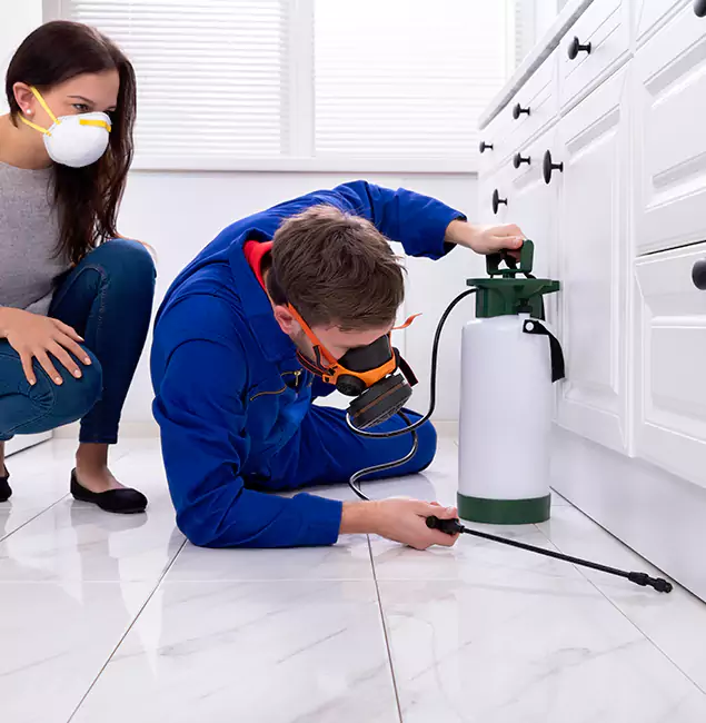 Why Fairfax Station, VA Homeowners Trust Fairfax Station Pest Control Pro for Roach Control?