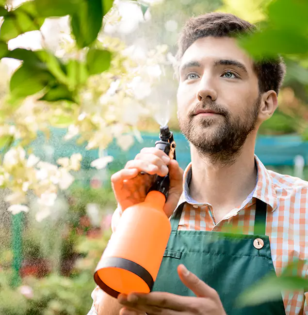 Why Fairfax Station Homeowners Call Fairfax Station Pest Control Pro for Mosquitoes in House?