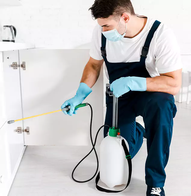 Why Choose Fairfax Station Pest Control Pro for Termite Spot Treatment in Fairfax Station, VA?