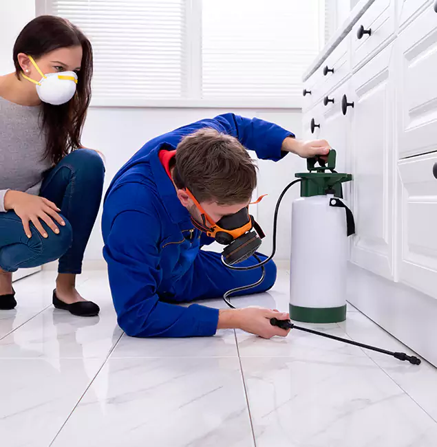 Why Choose Wood Termite Treatment by Fairfax Station Pest Control Pro in Fairfax Station, VA?