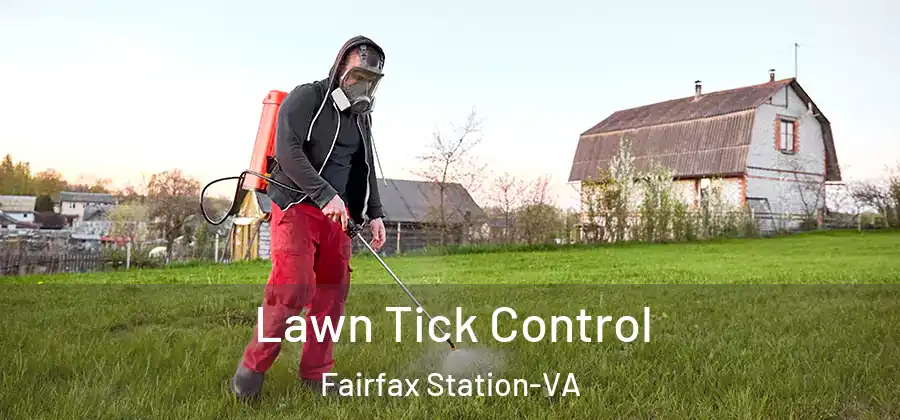Lawn Tick Control Fairfax Station-VA