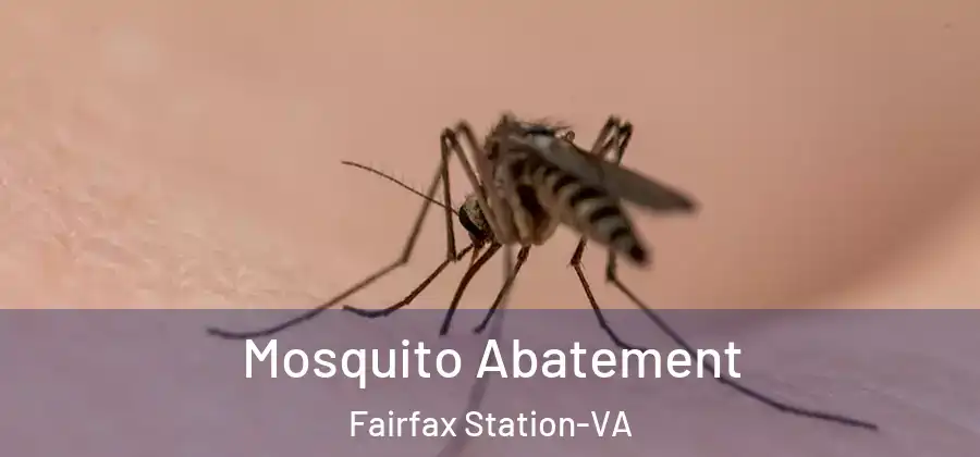 Mosquito Abatement Fairfax Station-VA