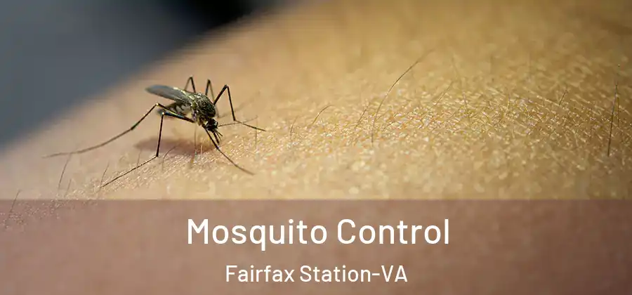 Mosquito Control Fairfax Station-VA