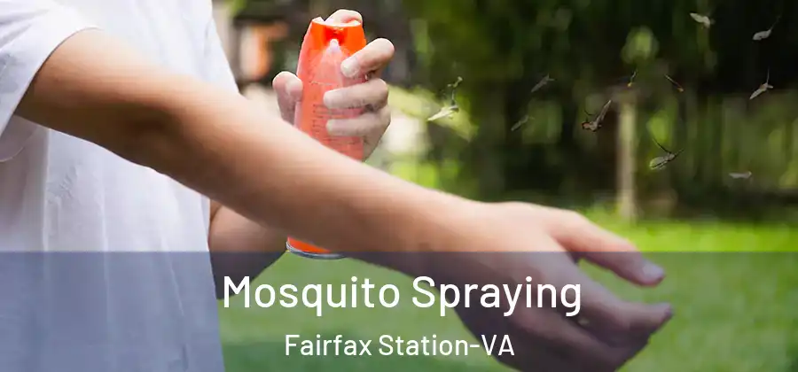  Mosquito Spraying Fairfax Station-VA