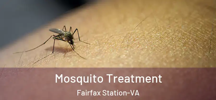  Mosquito Treatment Fairfax Station-VA