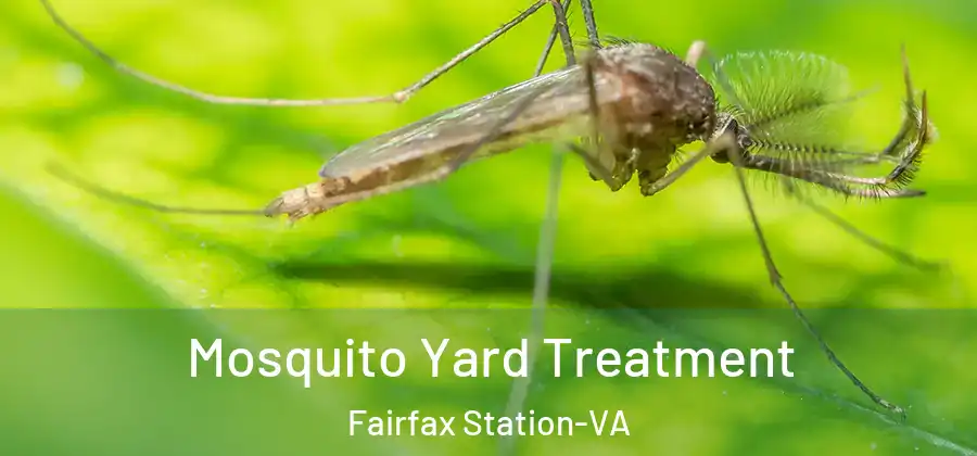  Mosquito Yard Treatment Fairfax Station-VA