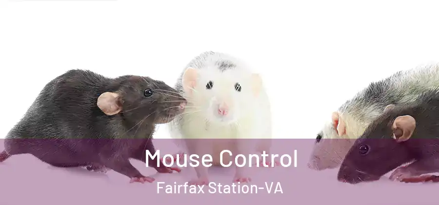  Mouse Control Fairfax Station-VA