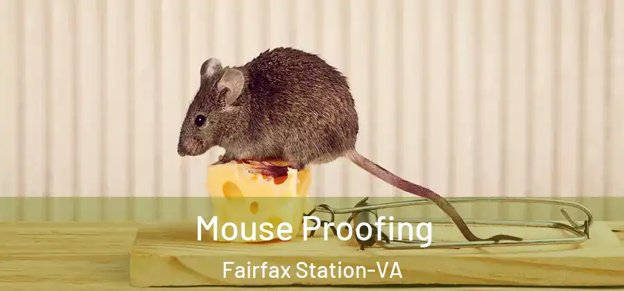Mouse Proofing Fairfax Station-VA