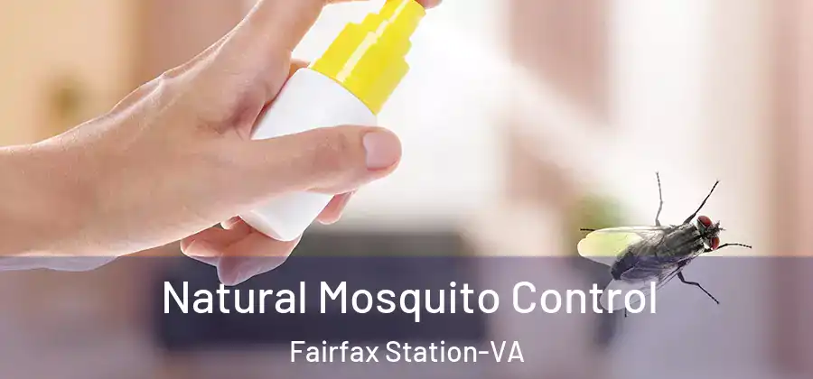  Natural Mosquito Control Fairfax Station-VA