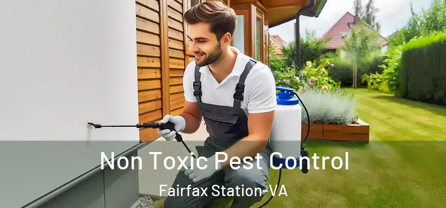  Non Toxic Pest Control Fairfax Station-VA