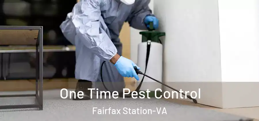  One Time Pest Control Fairfax Station-VA