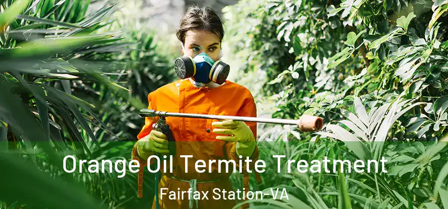  Orange Oil Termite Treatment Fairfax Station-VA