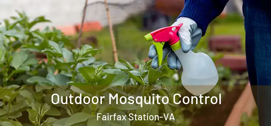  Outdoor Mosquito Control Fairfax Station-VA