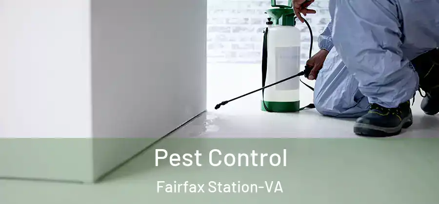  Pest Control Fairfax Station-VA