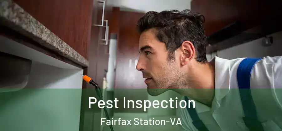 Pest Inspection Fairfax Station-VA