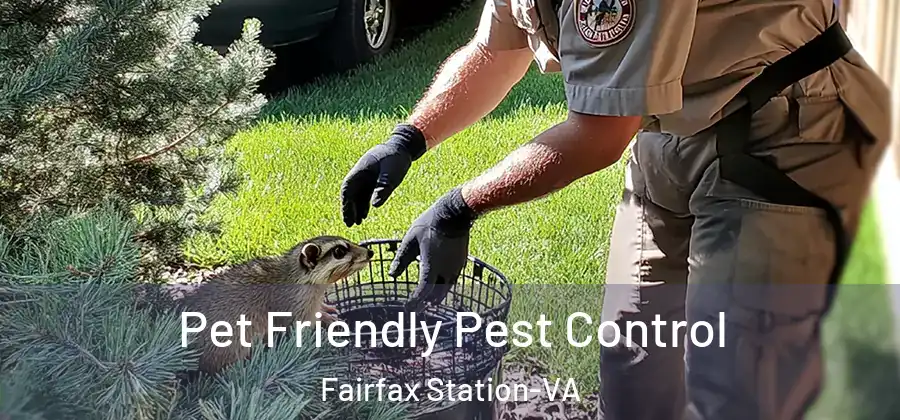  Pet Friendly Pest Control Fairfax Station-VA
