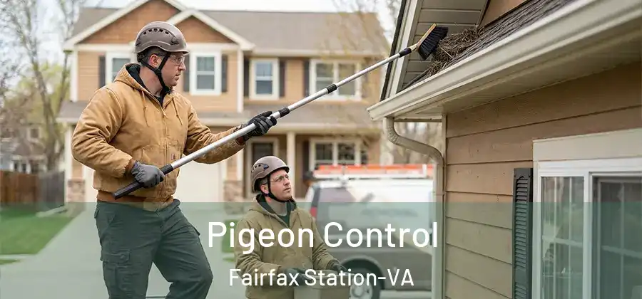 Pigeon Control Fairfax Station-VA