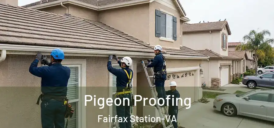 Pigeon Proofing Fairfax Station-VA
