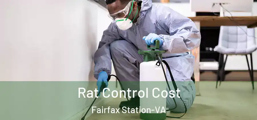 Rat Control Cost Fairfax Station-VA