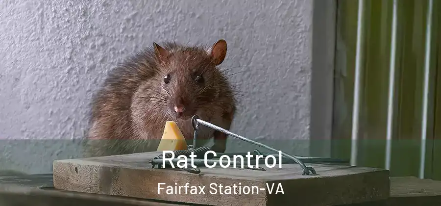 Rat Control Fairfax Station-VA
