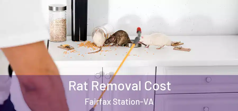  Rat Removal Cost Fairfax Station-VA