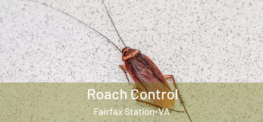 Roach Control Fairfax Station-VA