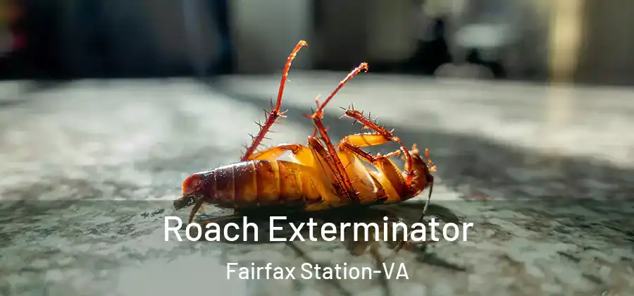Roach Exterminator Fairfax Station-VA