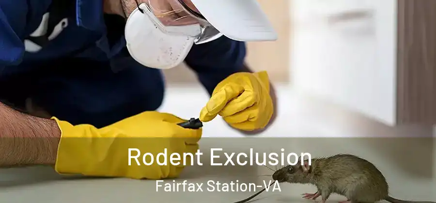  Rodent Exclusion Fairfax Station-VA