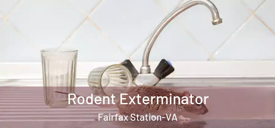  Rodent Exterminator Fairfax Station-VA