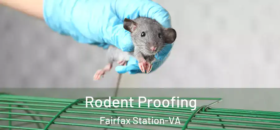 Rodent Proofing Fairfax Station-VA