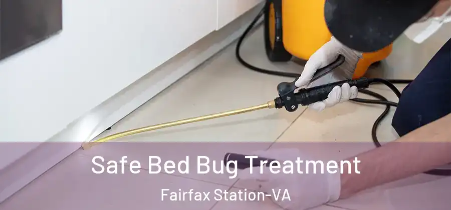  Safe Bed Bug Treatment Fairfax Station-VA