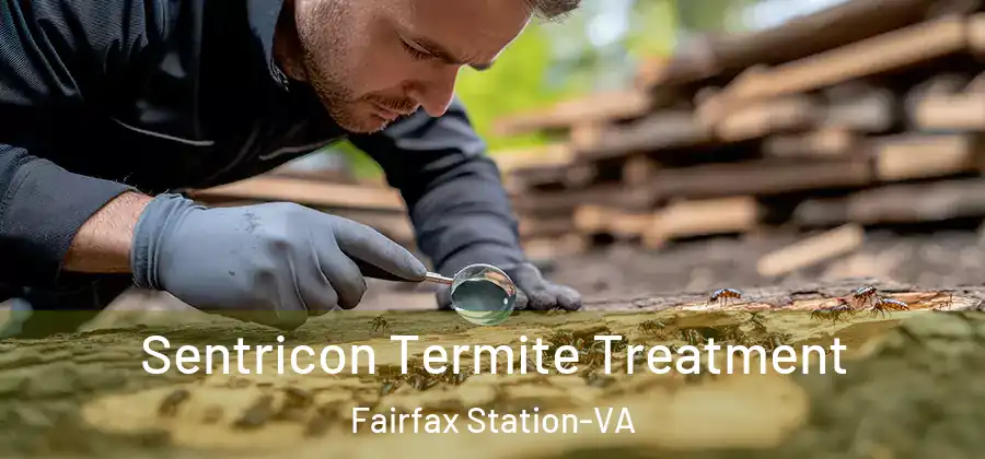  Sentricon Termite Treatment Fairfax Station-VA