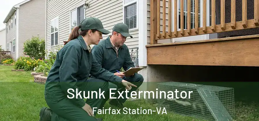 Skunk Exterminator Fairfax Station-VA