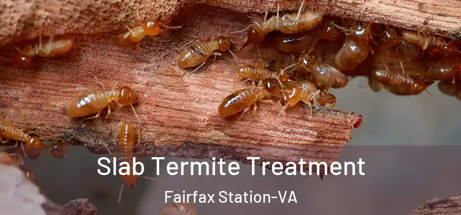  Slab Termite Treatment Fairfax Station-VA