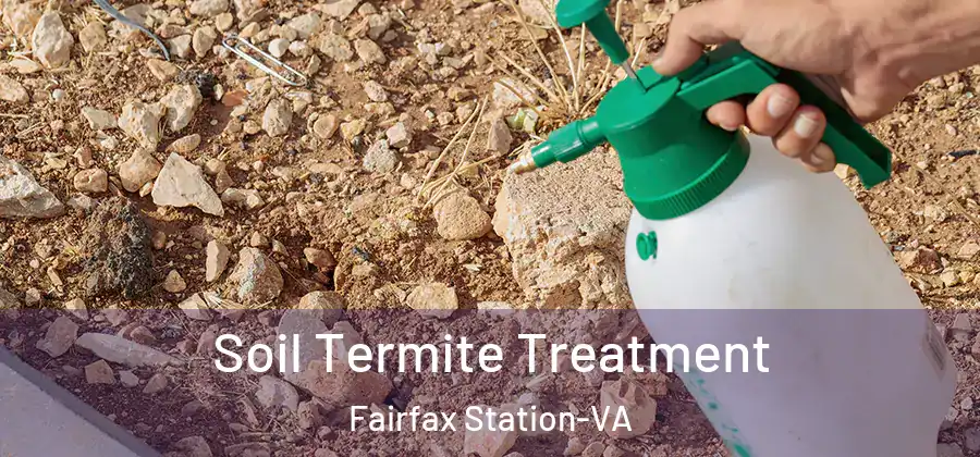 Soil Termite Treatment Fairfax Station-VA