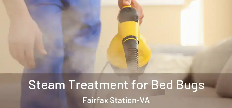  Steam Treatment for Bed Bugs Fairfax Station-VA