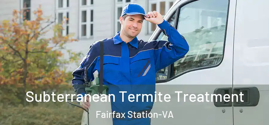 Subterranean Termite Treatment Fairfax Station-VA
