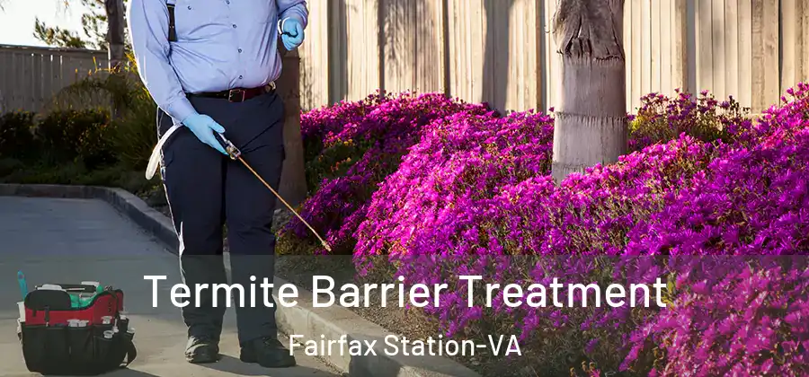 Termite Barrier Treatment Fairfax Station-VA