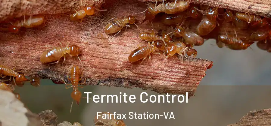 Termite Control Fairfax Station-VA