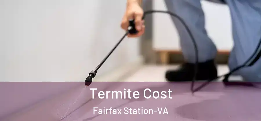 Termite Cost Fairfax Station-VA