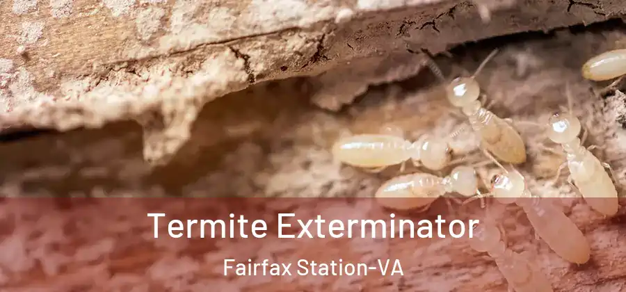  Termite Exterminator Fairfax Station-VA