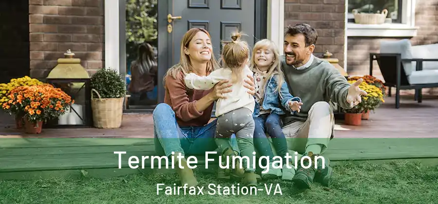  Termite Fumigation Fairfax Station-VA