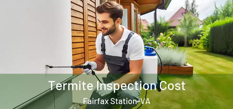 Termite Inspection Cost Fairfax Station-VA