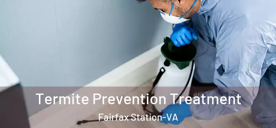  Termite Prevention Treatment Fairfax Station-VA