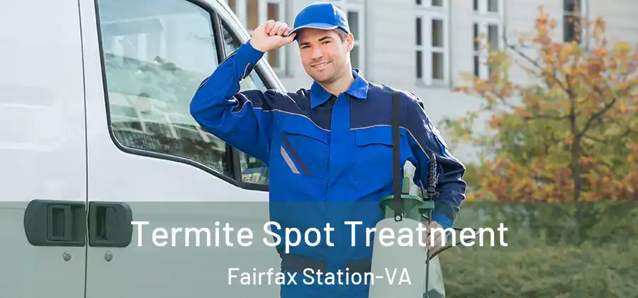  Termite Spot Treatment Fairfax Station-VA