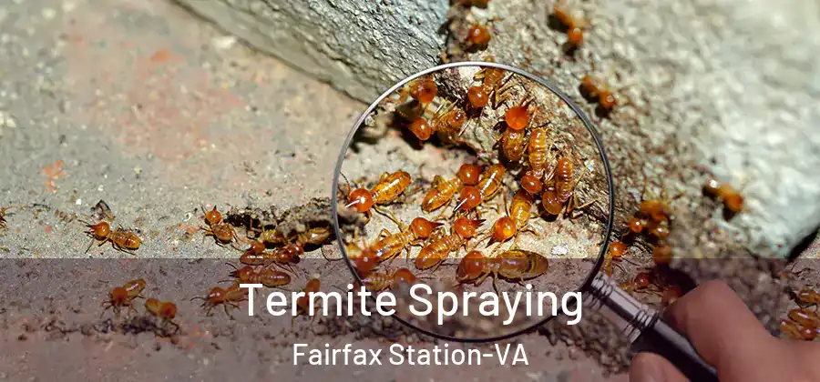 Termite Spraying Fairfax Station-VA
