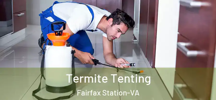 Termite Tenting Fairfax Station-VA