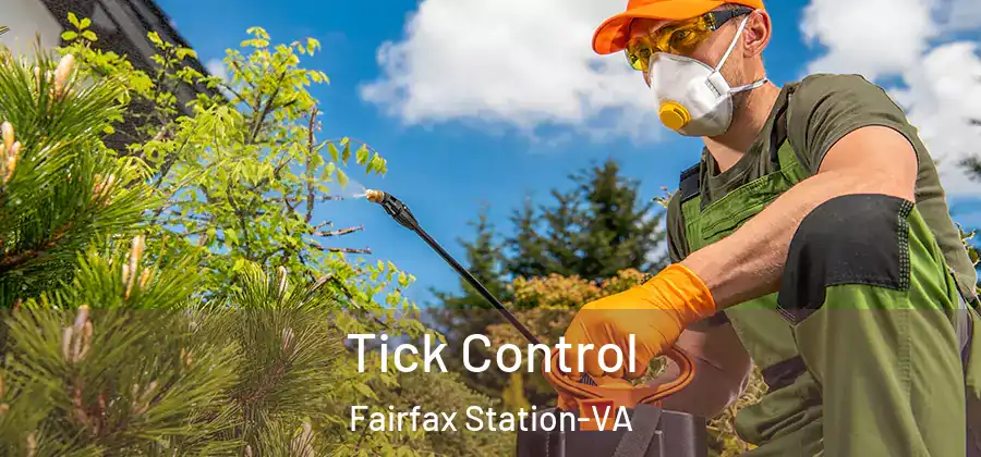 Tick Control Fairfax Station-VA
